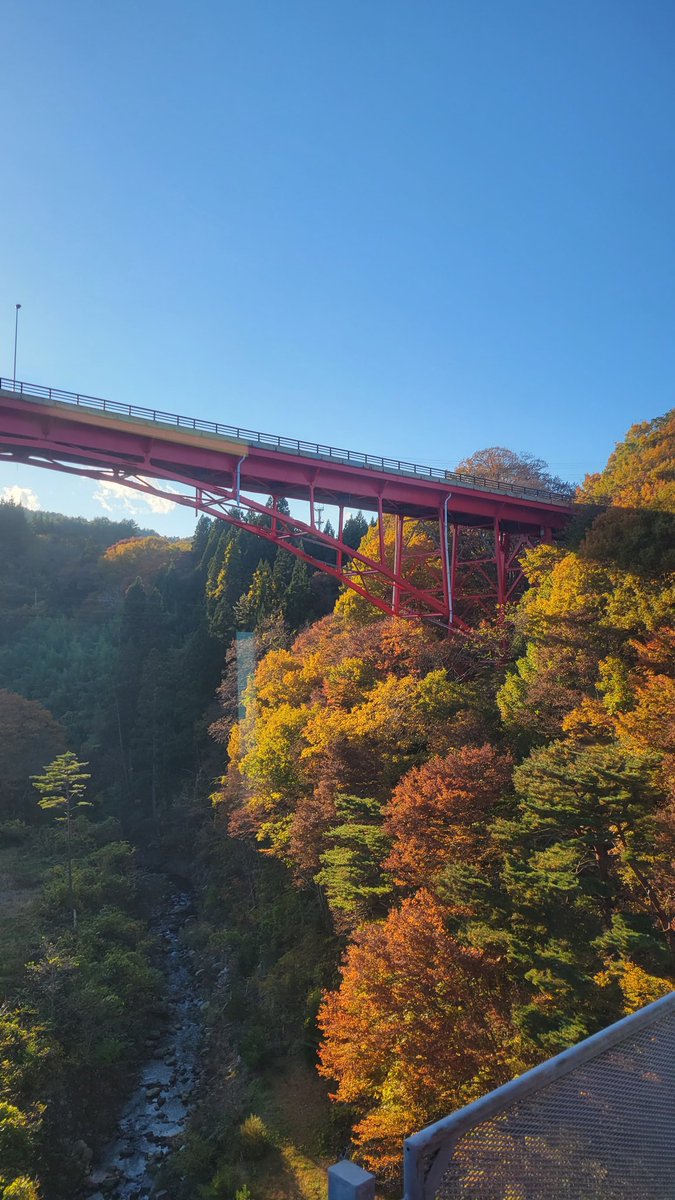 egao36's tweet photo. 今日乗った三鉄からは、紅葉、海、空、ぜ～んぶがキレイだった✨
＃三陸鉄道リアス線
＃さんてつ https://t.co/AjwjDGqohD