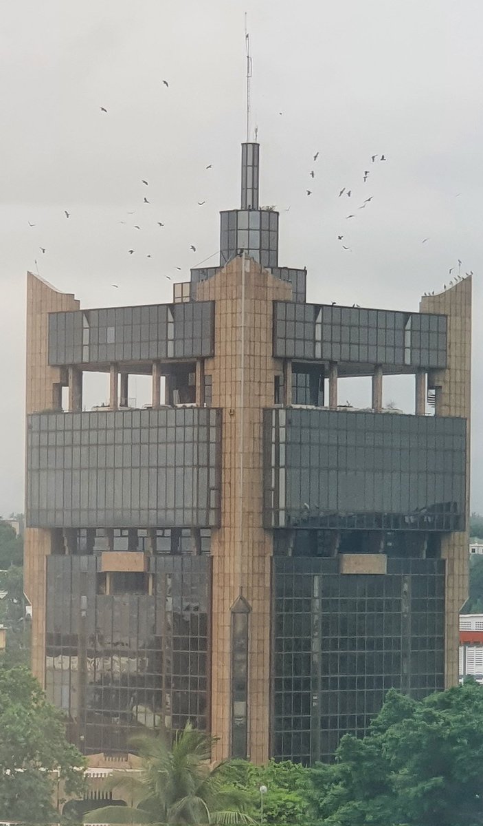 Airouone's tweet photo. Les corbeaux et les vautours volent aoutour de la Banque de Etats d'Afrique Centrale #BEAC #Allégorie https://t.co/lcm6m4uyNb