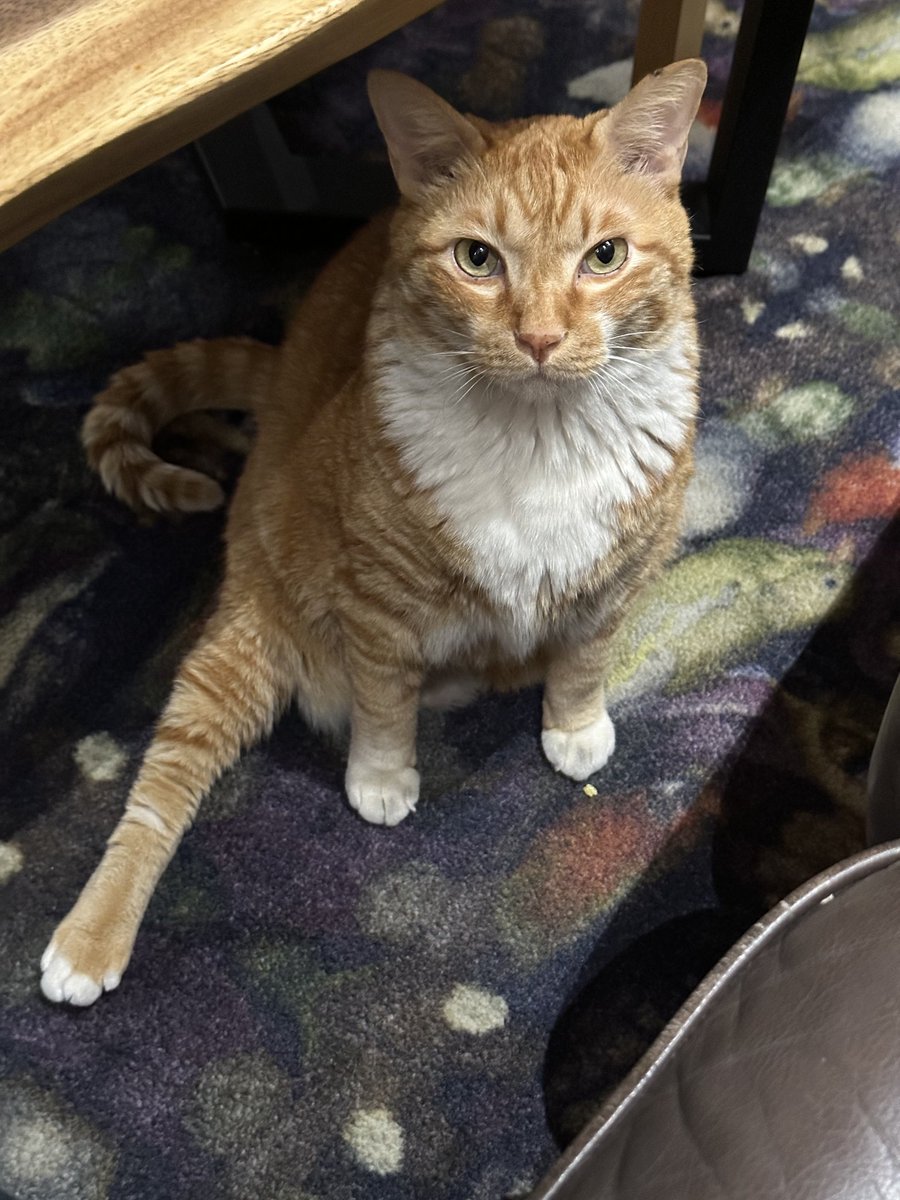 BX_INTL's tweet image. [🌌] 
221109 BX update picture on FNS

"Whats up with your cute and coy leg?"
"But? We get close quickly and when I stop patting it, he look at me like this ㅠㅠㅠㅠㅠ cute ㅠㅠㅠㅠ"

#bxintl_trans
#BX #이병곤 #CIX