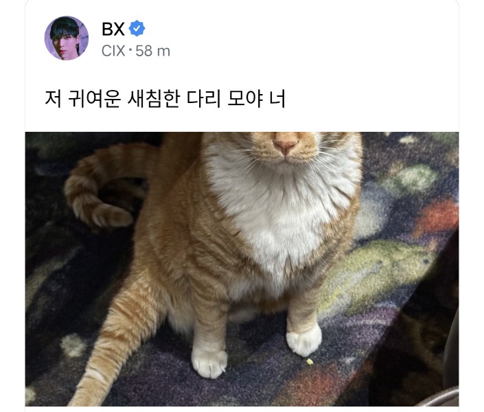 BX_INTL's tweet image. [🌌] 
221109 BX update picture on FNS

"Whats up with your cute and coy leg?"
"But? We get close quickly and when I stop patting it, he look at me like this ㅠㅠㅠㅠㅠ cute ㅠㅠㅠㅠ"

#bxintl_trans
#BX #이병곤 #CIX