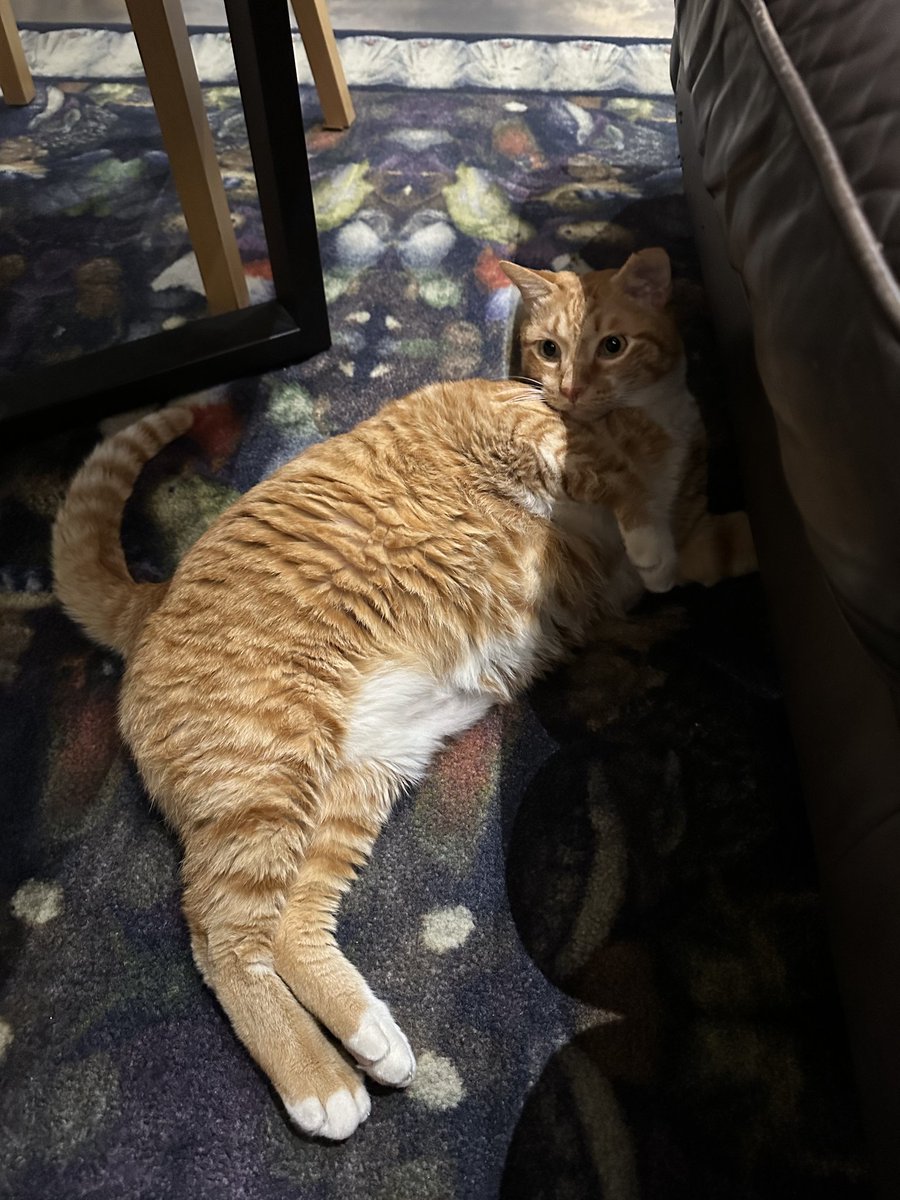 BX_INTL's tweet image. [🌌] 
221109 BX update picture on FNS

"Whats up with your cute and coy leg?"
"But? We get close quickly and when I stop patting it, he look at me like this ㅠㅠㅠㅠㅠ cute ㅠㅠㅠㅠ"

#bxintl_trans
#BX #이병곤 #CIX