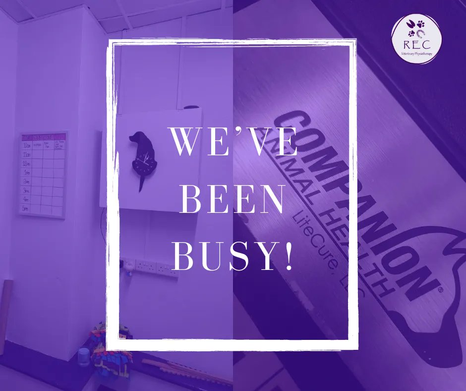 recvetphysio's tweet photo. It’s been very quiet on here recently…

That’s because I have been very busy behind the scenes making a couple of massive upgrades and updates! I can’t wait to share them with you! 

#recveterinaryphysiotherapy #recvetphysio #updates #upgrades https://t.co/onKXi0pd4c