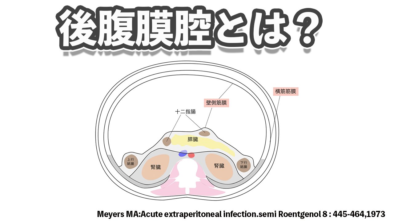 よクウわかる腹膜腔・後腹膜腔の画像診断 よクウわかる腹膜腔・後腹膜腔の画像診断 | 浅山 良樹, 高司 亮