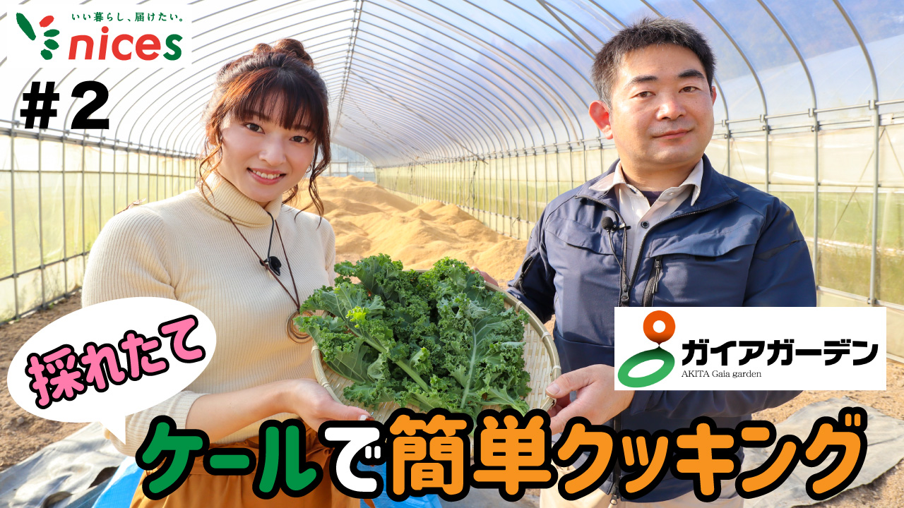 ナイス Nices Akita Twitter