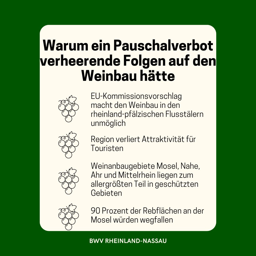 BWV_NET's tweet image. Der stv. Kreiswinzervorsitzende Thomas Losen aus Wittlich hat über die Auswirkungen von möglichen Einschränkungen zum Einsatz von Pflanzenschutzmitteln informiert. Ein Pauschalverbot in Schutzgebieten käme einem Genickbruch für die Winzerfamilien und den Tourismus gleich.