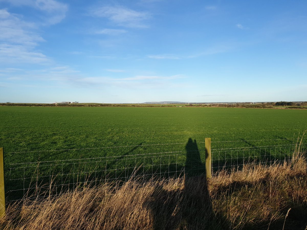 What a lovely morning,  hardly believe that it's the 9th of November  #aberdeenshire #sunny