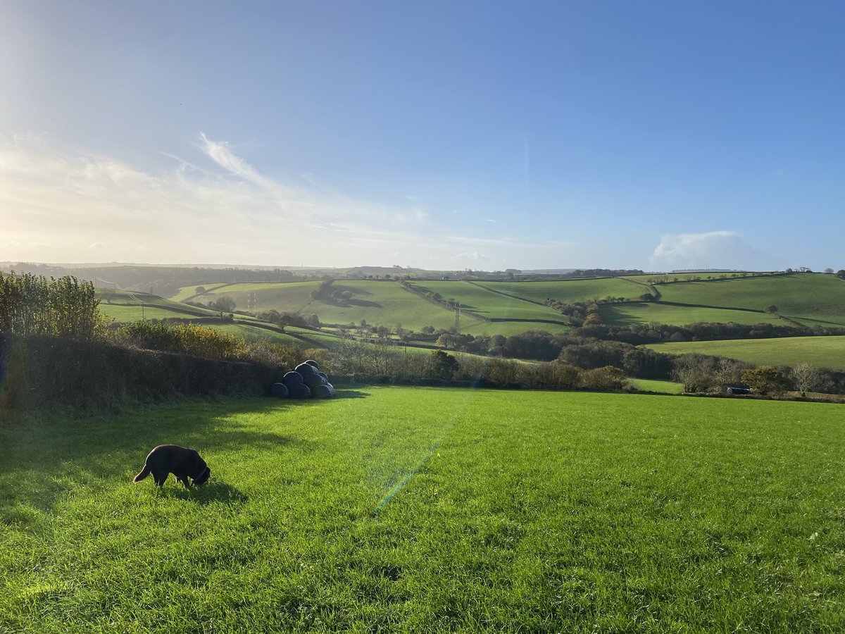 Natures therapy-when grey days get to you, green days lift you! #nature #green prescription #cornwall #survive