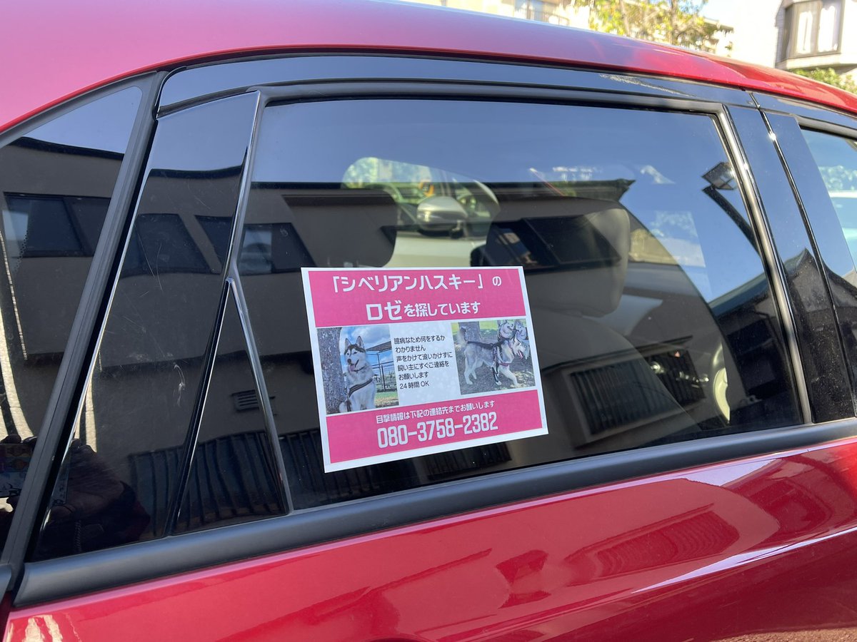 musashi_916's tweet photo. 車の後ろに迷子ワンちゃんステッカー貼りました。

まだまだうちの車は貼るスペースあり。埼玉周辺で迷子猫ちゃん&amp;ワンちゃんポスターを貼られたい方(車でのいいよという方)はご連絡ください。

当然、ボランティアです。 https://t.co/gqBUVmahAz