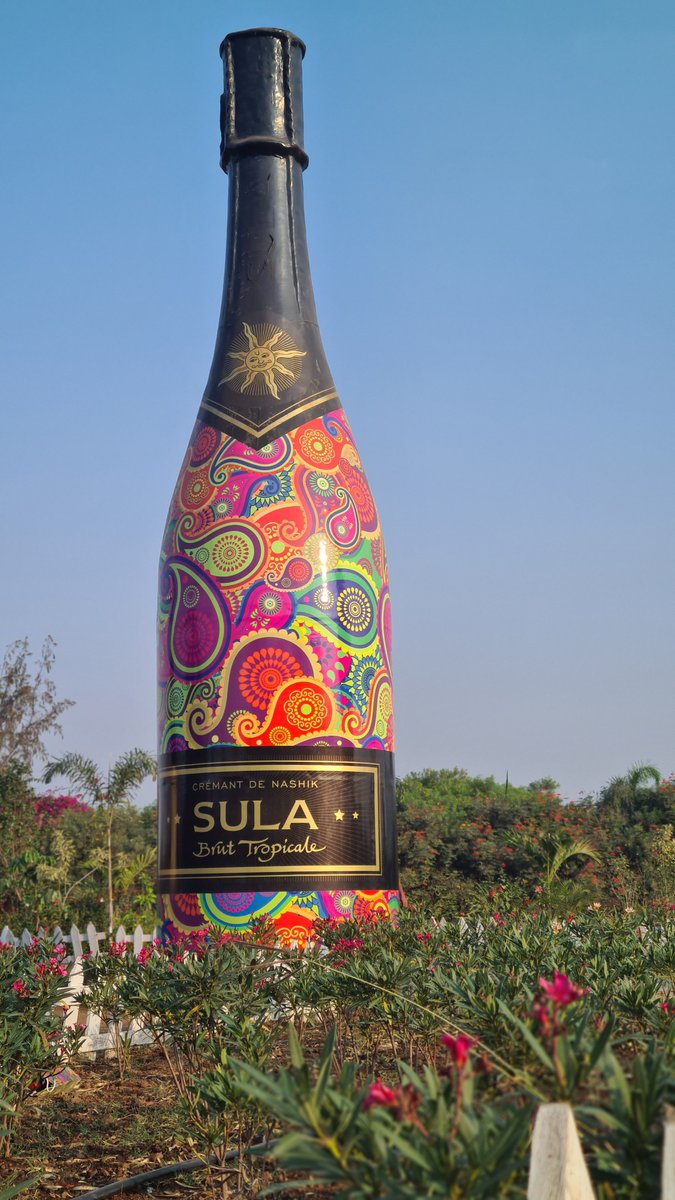 What a View #sula #nashik #wine #sulavineyards #winelover #sulawines #malukuutara #ternate #tidore #winetasting #sulawine #tobelo #jailolo #bacan #nashikgram #nashikcity #nashikkar #nashikdiaries #morotai #taliabu #sulafest #winetime #vineyard #sofifi #halmahera  #ternatecity