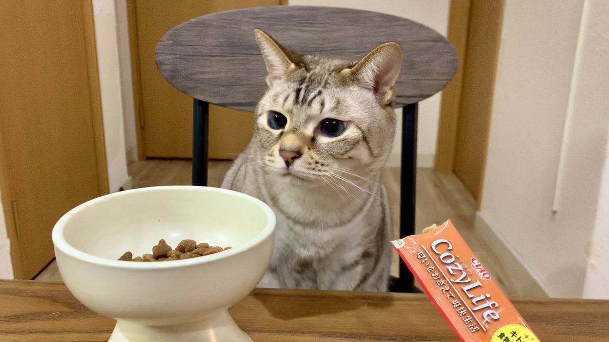 ちゅーるよりカリカリを選ぶ猫

youtu.be/SjQL-wzGh7s
