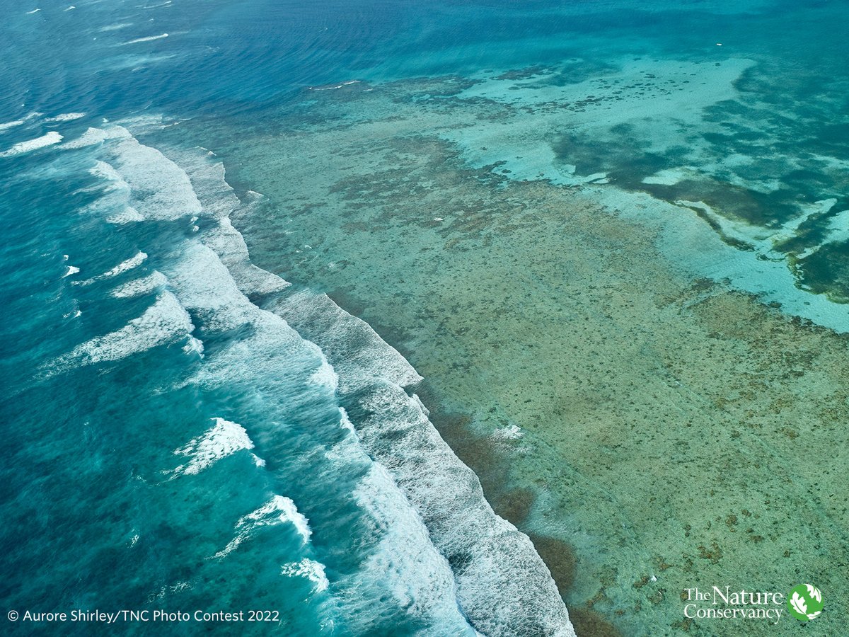 Want to know more about scaling finance for nature? Read <a href="/ntashawhite/">Natasha White</a>'s article about debt-for-nature swaps—a multi-billion-dollar solution. 
<a href="/Bloomberg/">Bloomberg</a> #NatureNow #InnovativeFinance 
nature.ly/3UnOSNg