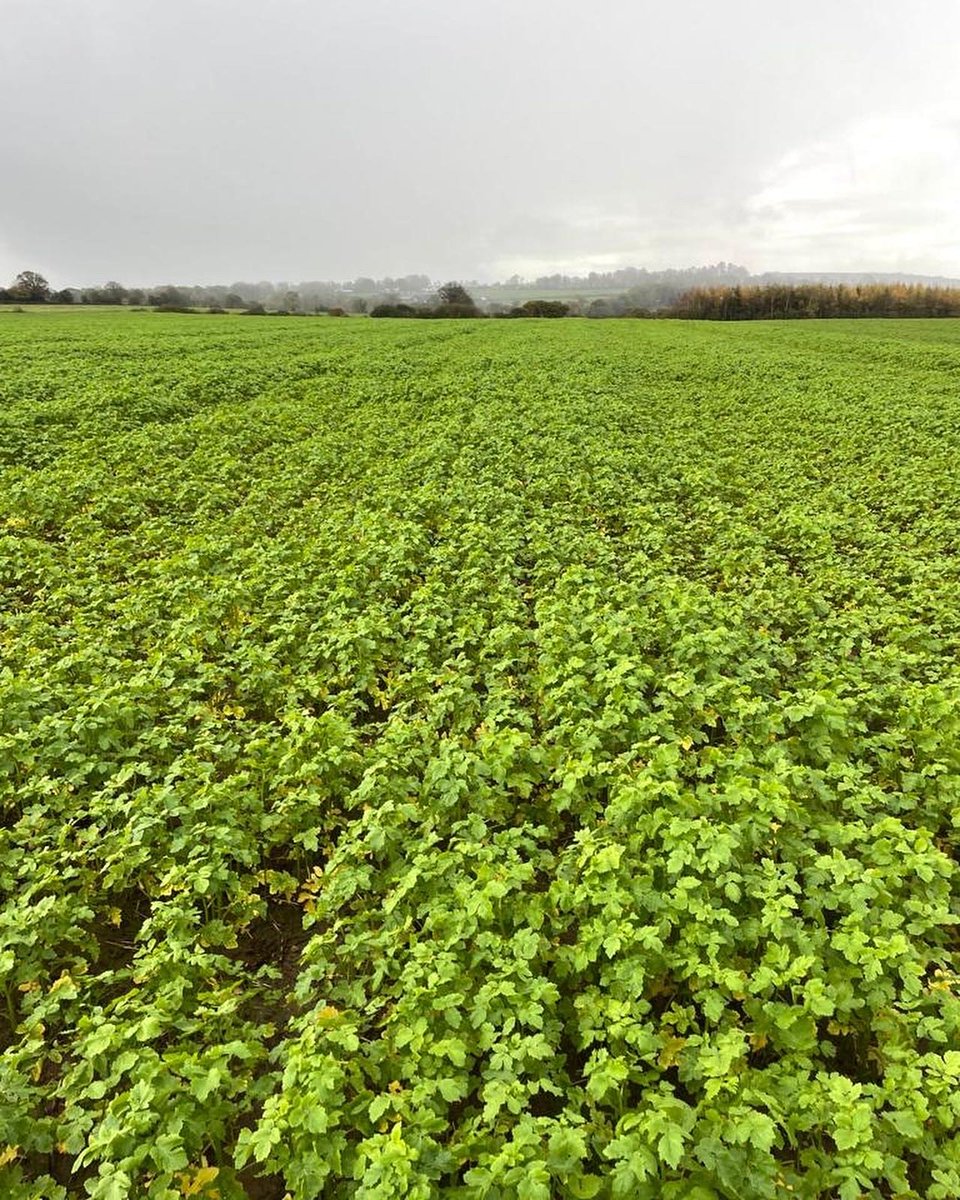 Slaney Farms Produce tweet media