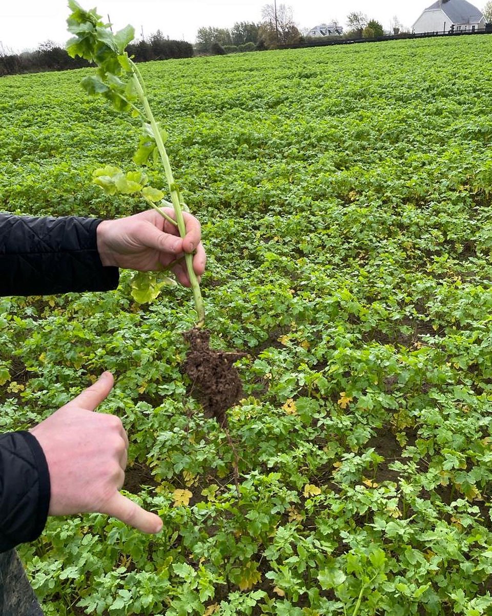 Slaney Farms Produce tweet media