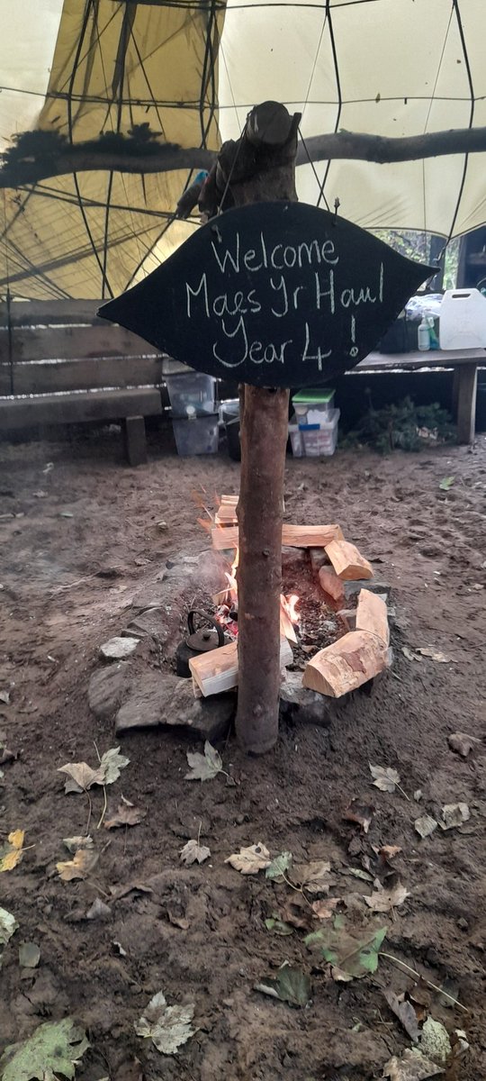 BushcraftEvents's tweet photo. The sun has come out just in time for year 4 from @Maesyrhaulps for their school trip !! #outdoorlearning #schooltrip https://t.co/5fMIxHYGqG