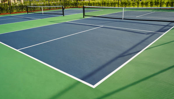 mealexhenry's tweet photo. Pickleball fever rises in USA . .

#pickleball #pickled https://t.co/LrbOcYHNa4