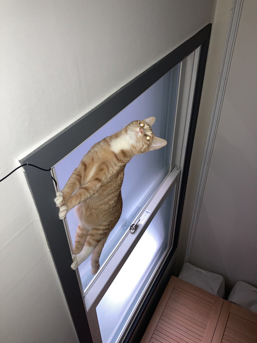 아코🤍 (@kimakonyang) on Twitter photo 