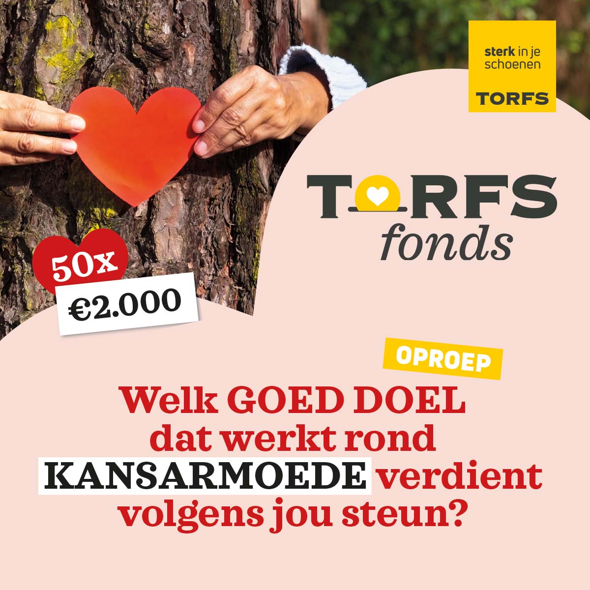 Berri vliegtuig Beneden afronden Schoenen Torfs (@SchoenenTorfs) / Twitter