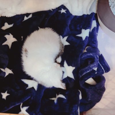 outsider4424's tweet photo. #新しいプロフィール画像 https://t.co/SeJQokQJiN