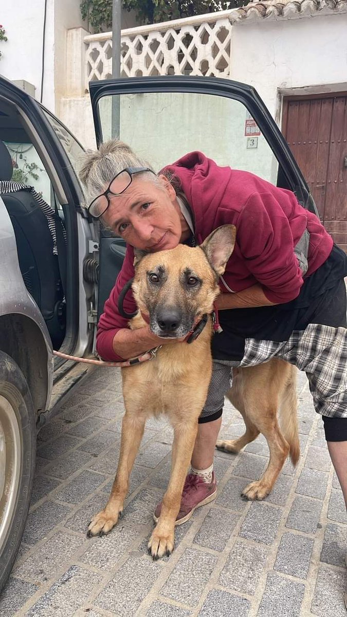 SilviaMylo's tweet photo. Está en una residencia después de tanto dolor 😭 
Se han ido yendo las madrinas y nadie pregunta por él 😭 💔 
No hay para pagar la residencia ni una triste acogida‼️
Qué pena si pudiera imaginar que otra vez está sin nada, sin nada, como toda su vida 😢 💔
659 72 37 68
Málaga https://t.co/1Bm3Zd6FKy