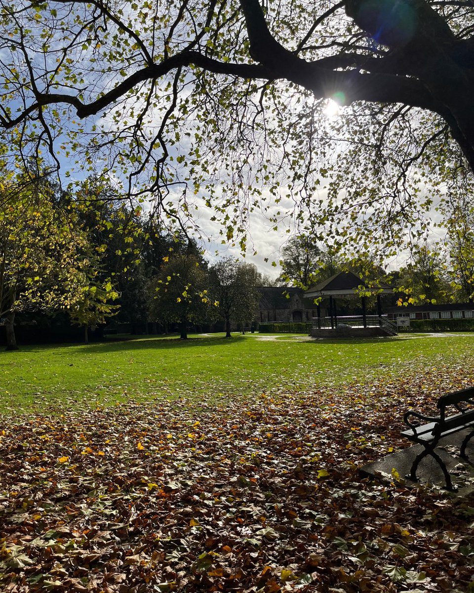 Visit Wells tweet media