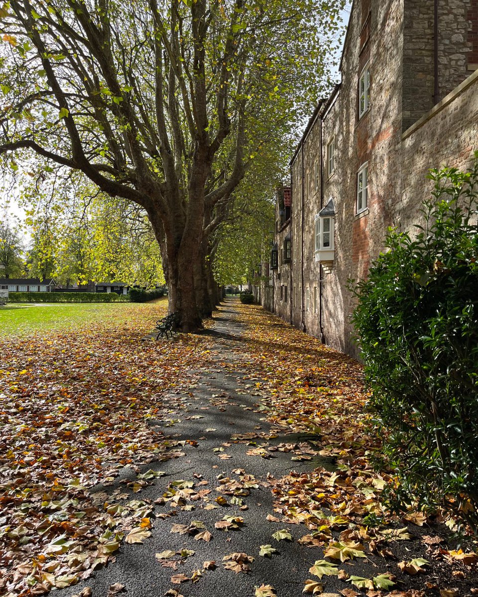 The Wells Recreation Ground looks particularly stunning with the fallen autumn leaves.

❓Did you know...

Bishop Hervey of Bath &amp; Wells gave the Bishop's Barn and surrounding land to the local people of Wells, creating the Recreation Ground.