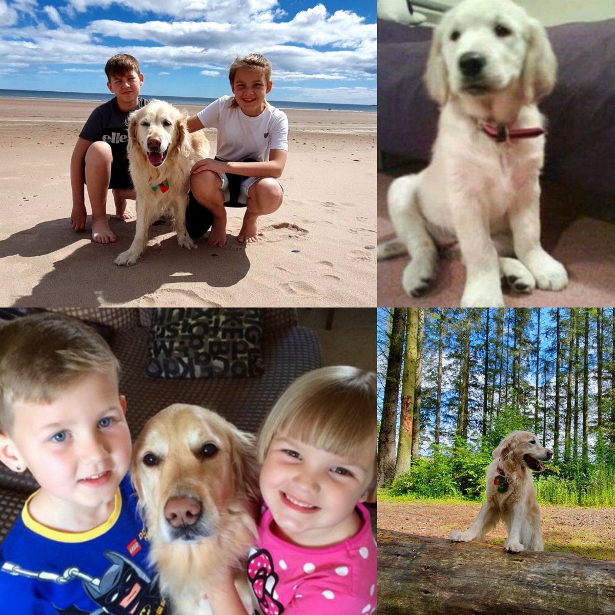 Claire Dunn tweet media