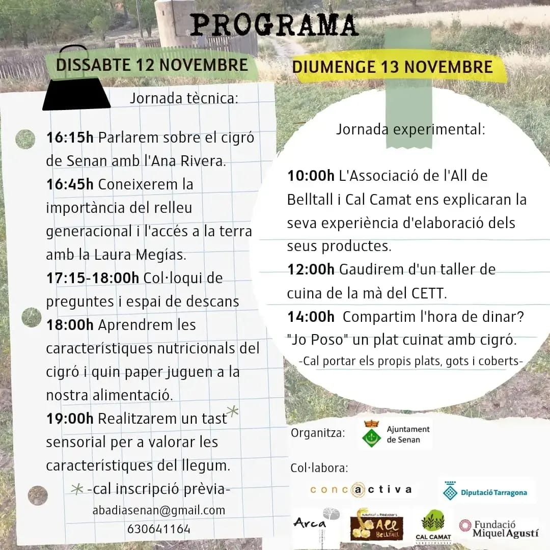 FMAoficial's tweet photo. 🌱El 12 i 13 de novembre s'organitzen les primeres Jornades del Cigró de Senan!

Conèixer les seves possibilitats ens permet establir un vincle amb la terra i produir aquells aliments que ens afavoreixen.

T'animes a descobrir-lo?

🔗abadiasenan@gmail.com 630641164 https://t.co/WS8IiXotUJ