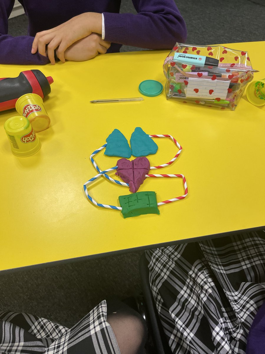 Ellesmere Academic PE and Btec Sport tweet media