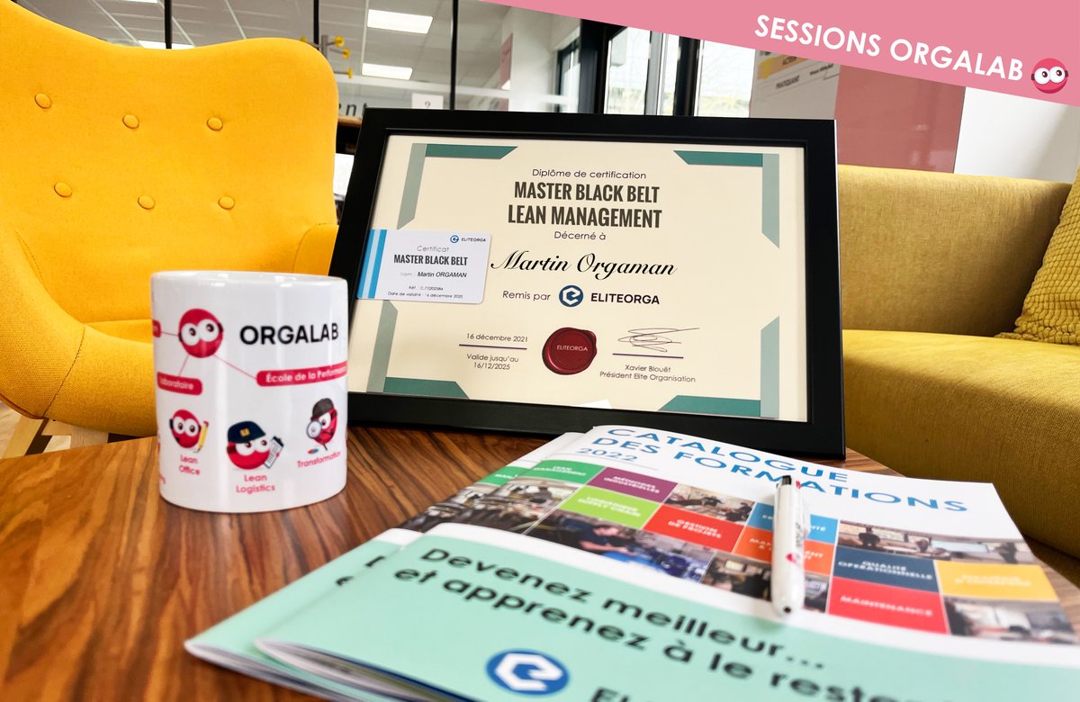 ELITEORGANISATION tweet media