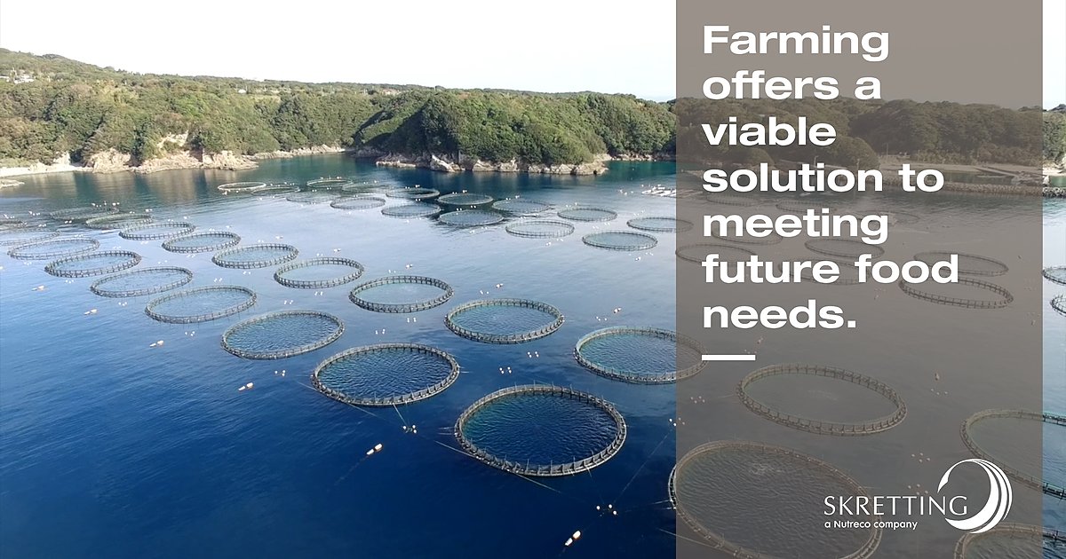 Are there good reasons to choose farmed fish? Yes! While In many cases, fish wild populations are under threat due to factors like over-fishing and habitat loss; farming offers a viable solution to meet the world's growing seafood demand. Learn more: fal.cn/3trUR