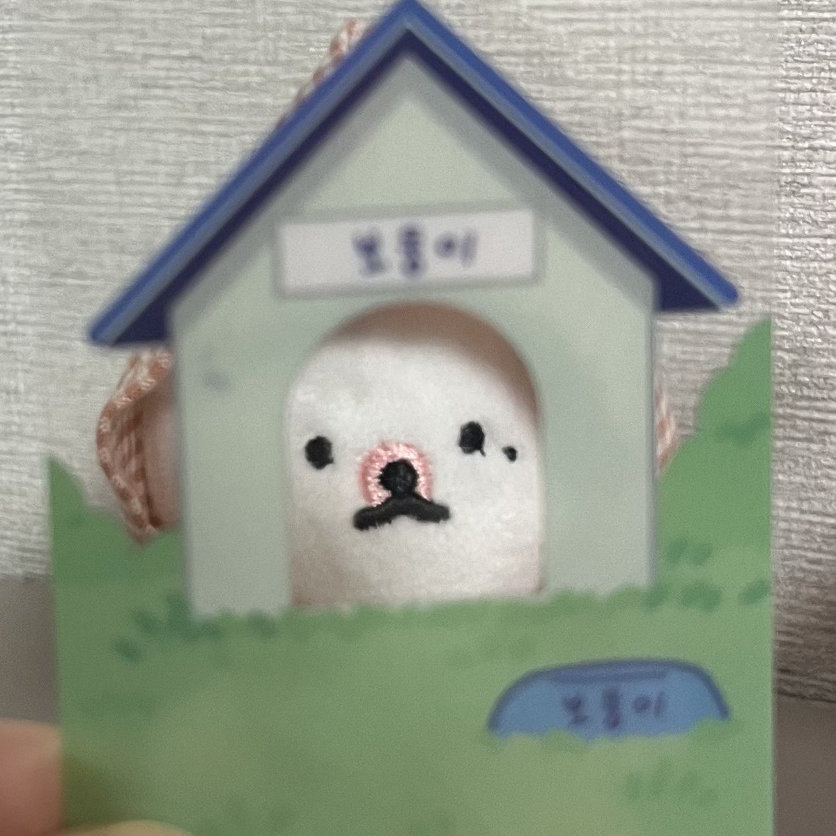 #요리보둥조리보둥
보...하게 생긴 보둥💖