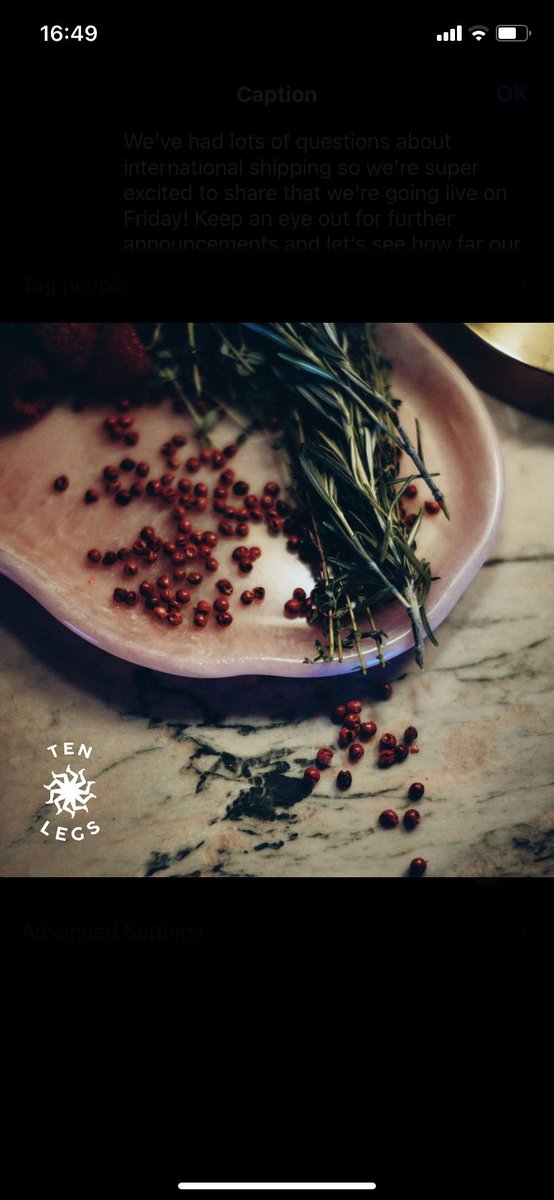 Ten Legs Gin tweet media