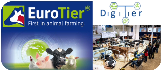 MariaJaeger14's tweet photo. 📣 Besuchen Sie #DigiTier im DLG-Forum „Milch &amp; Rind“ auf der #EuroTier 
👉Podiumsdiskussion „Innovationen zur #Digitalisierung in der #Rinderhaltung“
📅 16. November 2023 um 14.30 Uhr

👉 https://t.co/xJISdbbCxu 
#ble #ptble #Nutztierhaltung #precisiondairyfarming https://t.co/Bi7nJC5KQ7