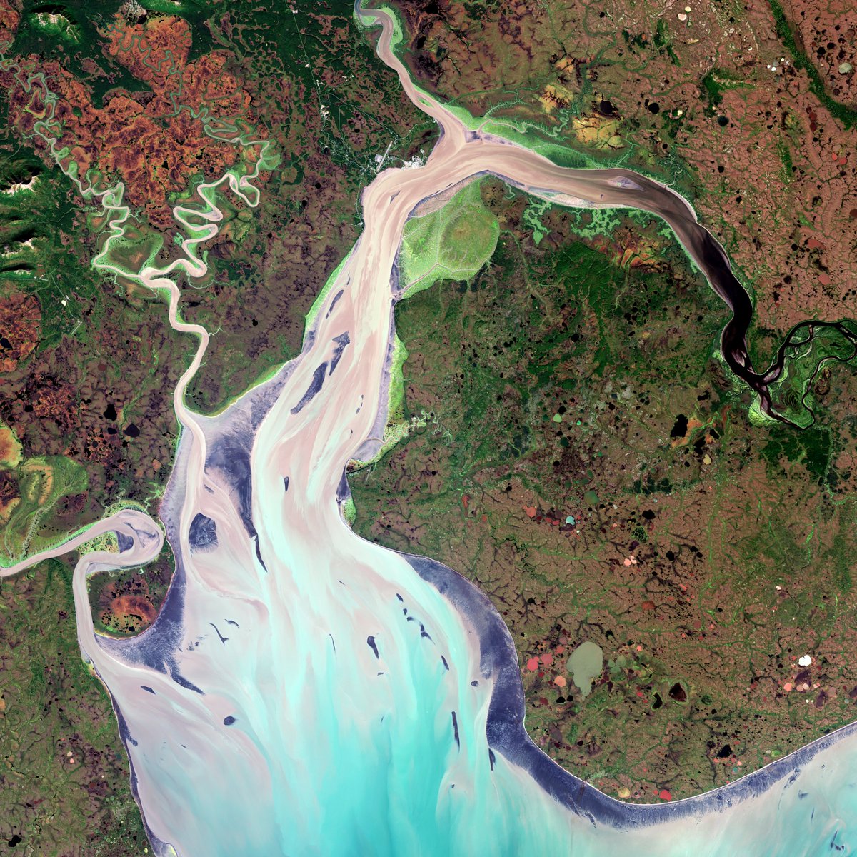 ESA Earth Online tweet media