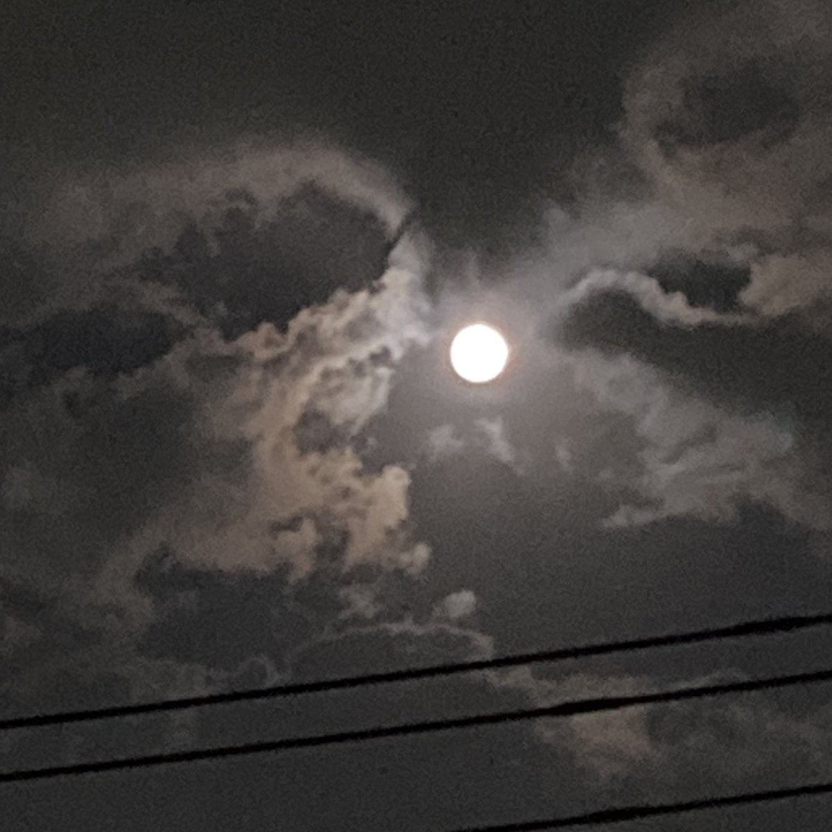 ガブっと口あけてる。

虎か龍かな〜

雲が食べたくなったお月様は、どんな味だろう？

#お月見