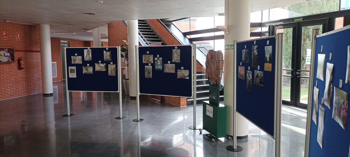 Manuel Esteban Lucas Borja tweet media