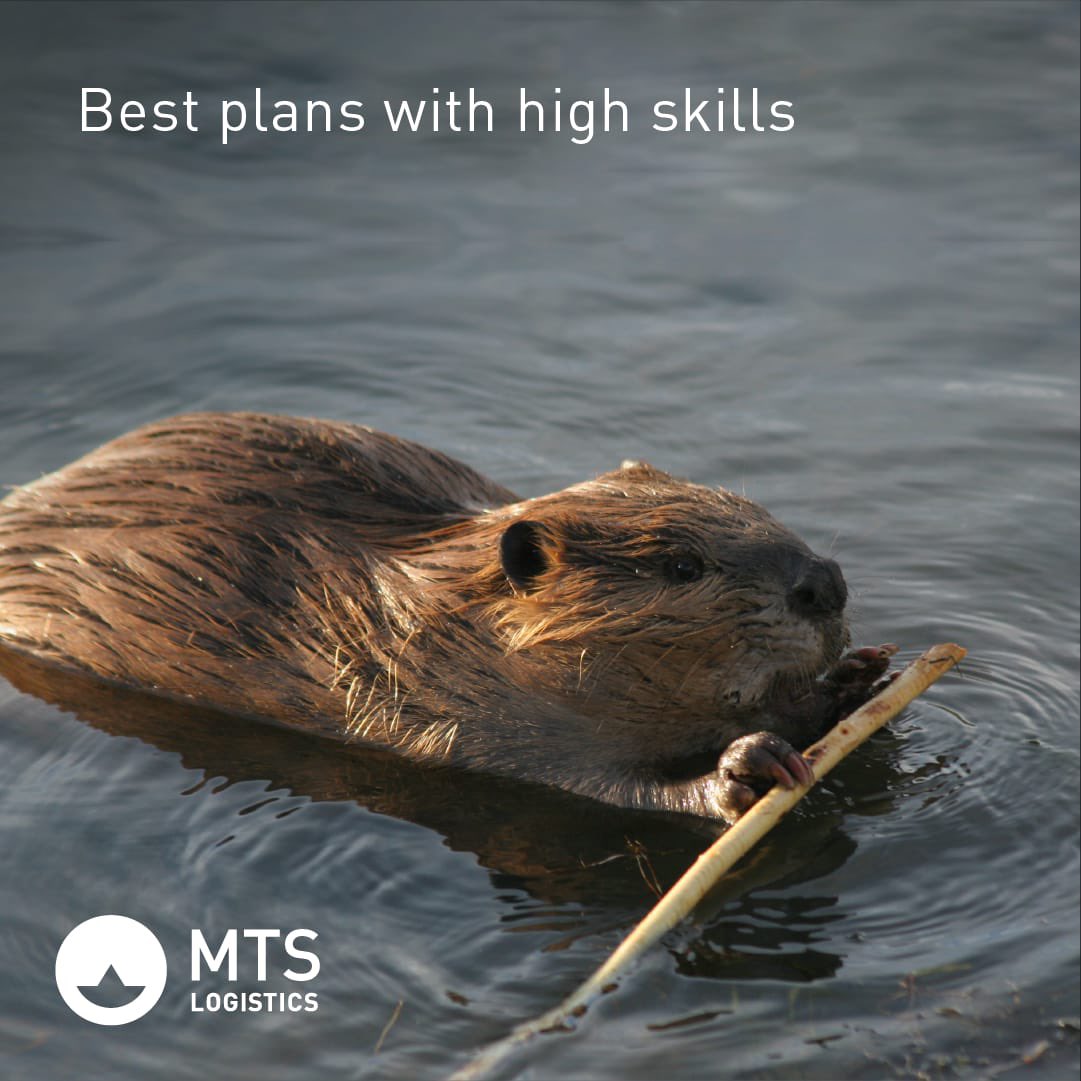 mts_logistic's tweet photo. Being detail-oriented and versatile ensures proper planning.
#logistics #mtslogistics #transport #oceanfreight #groupageservice #warehouse #inlandtransport #freightforwarding #highskills https://t.co/Ud79T3UaJb