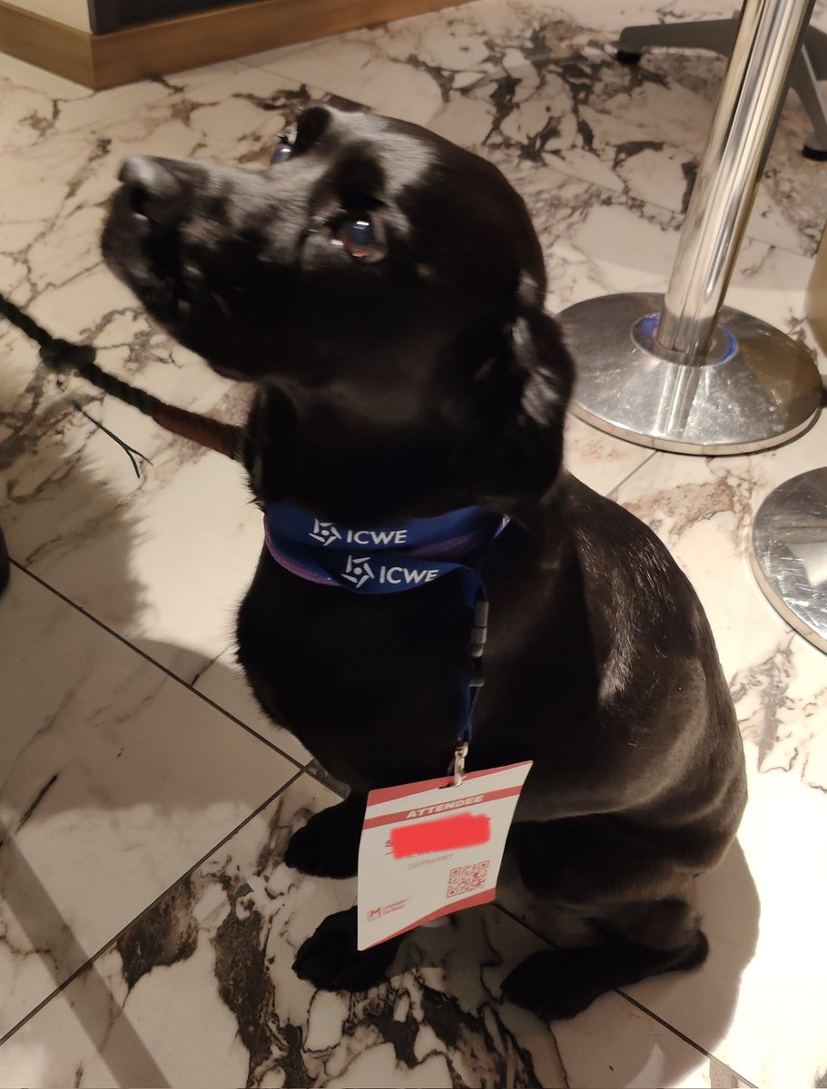 Perritos lindos allowed at <a href="/LMconference/">Languages & The Media</a> #LAM22