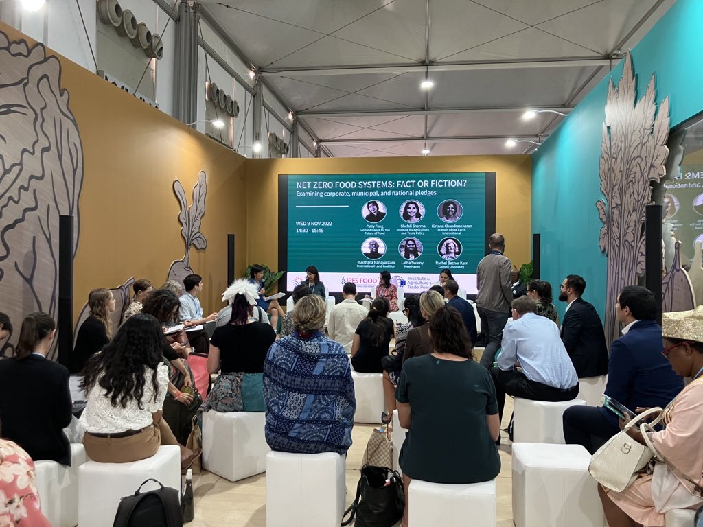 Sophia Murphy tweet media