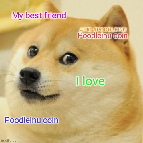 tonfaanthony's tweet photo. @cryptojack Accumulate #PoodleInuCoin $PIC, earn $doge as a reward https://t.co/twlFWOmjtT