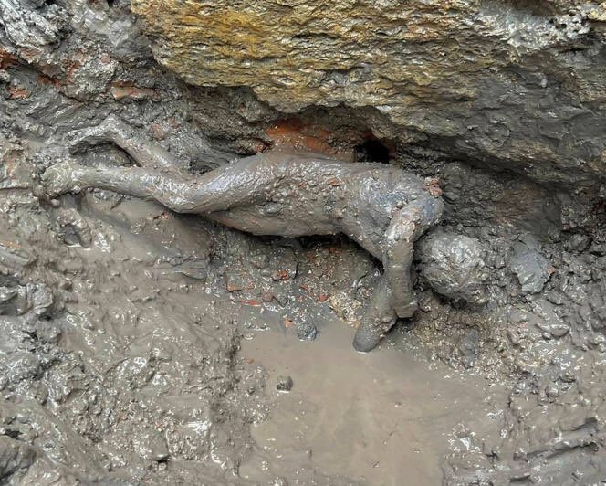 Une des vingt statues en bronze vieilles de 2000 ans, dégagée de sa gangue de boue sur le site étrusque de San Casciano dei Bagni, en Toscane, le 3 novembre 2022.
#archeologie