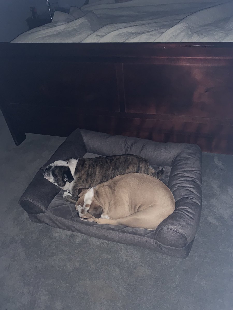 Banditthesneak tweet media