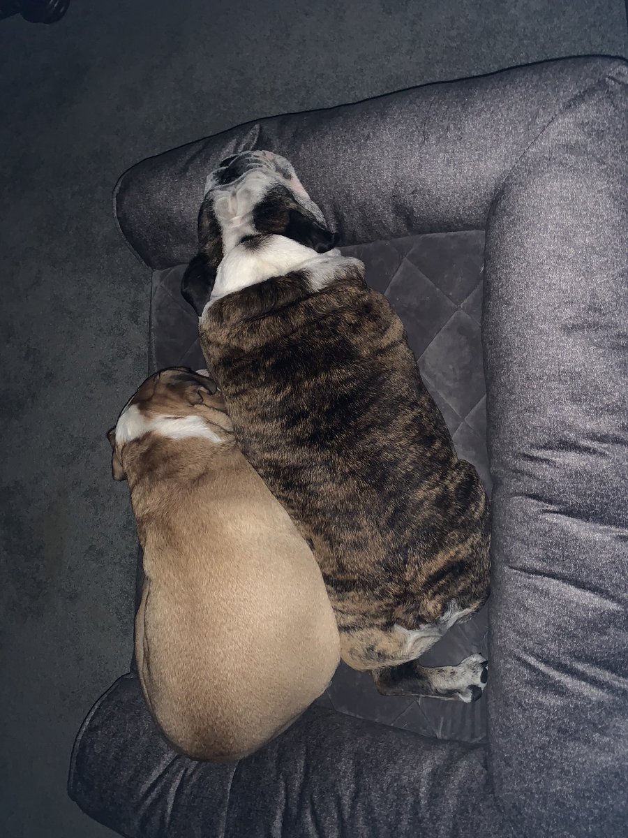 Banditthesneak tweet media