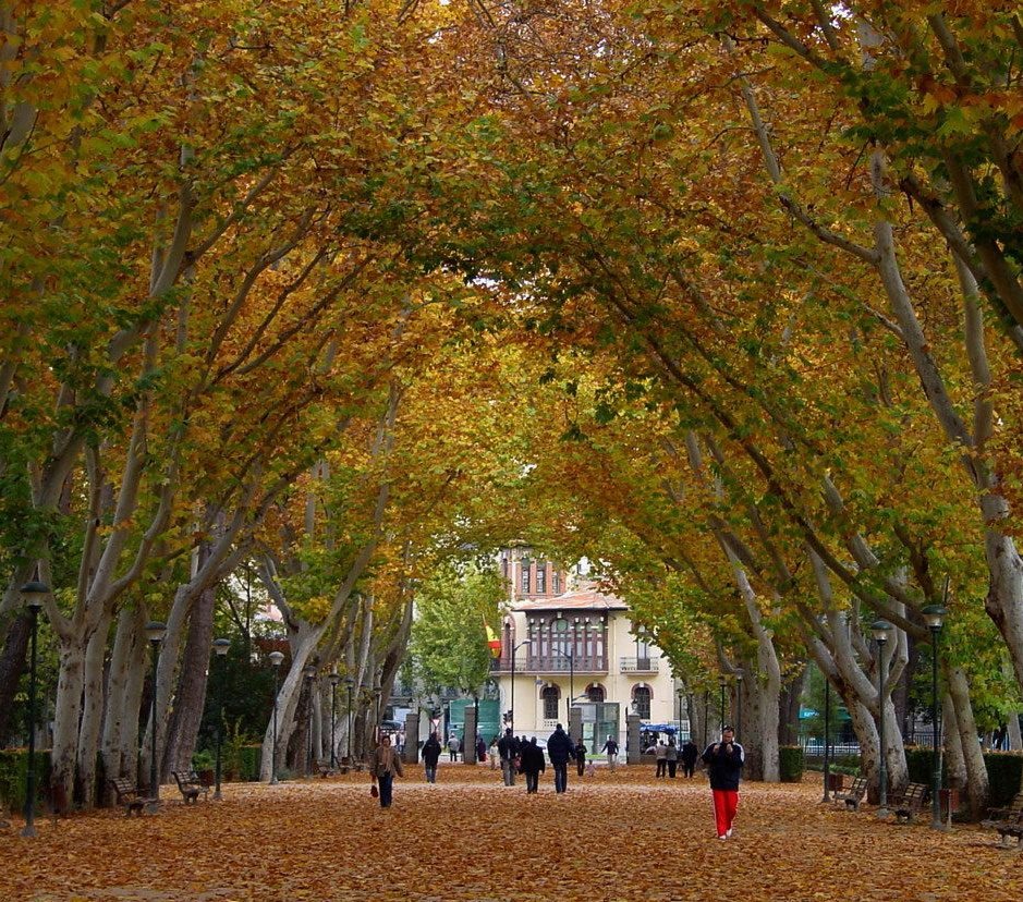 PostureoAb's tweet photo. Hoy es el Día de esta ciudad, dadle amor #Albacete https://t.co/pzTpXYmOtG