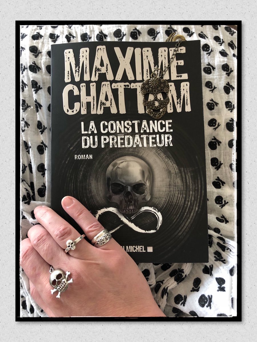 f_thrillers's tweet photo. Mon précieux 🖤💀, acheté chez mon libraire préféré 🥀
#laconstancedupredateur 
@ChattamMaxime 
@AlbinMichel 
#skulls #thriller https://t.co/A82XQBUmtj