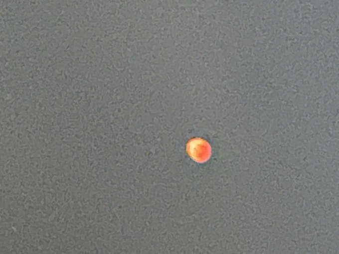 昨日空にいくら飛んでた https://t.co/ZQzaIN2vDd