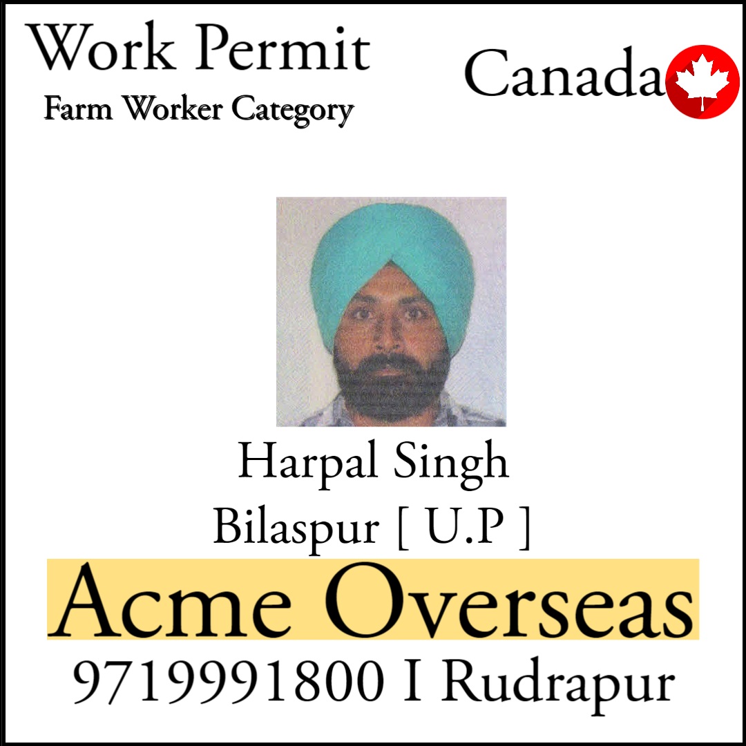 Acme Overseas (@acme_overseas) on Twitter photo 