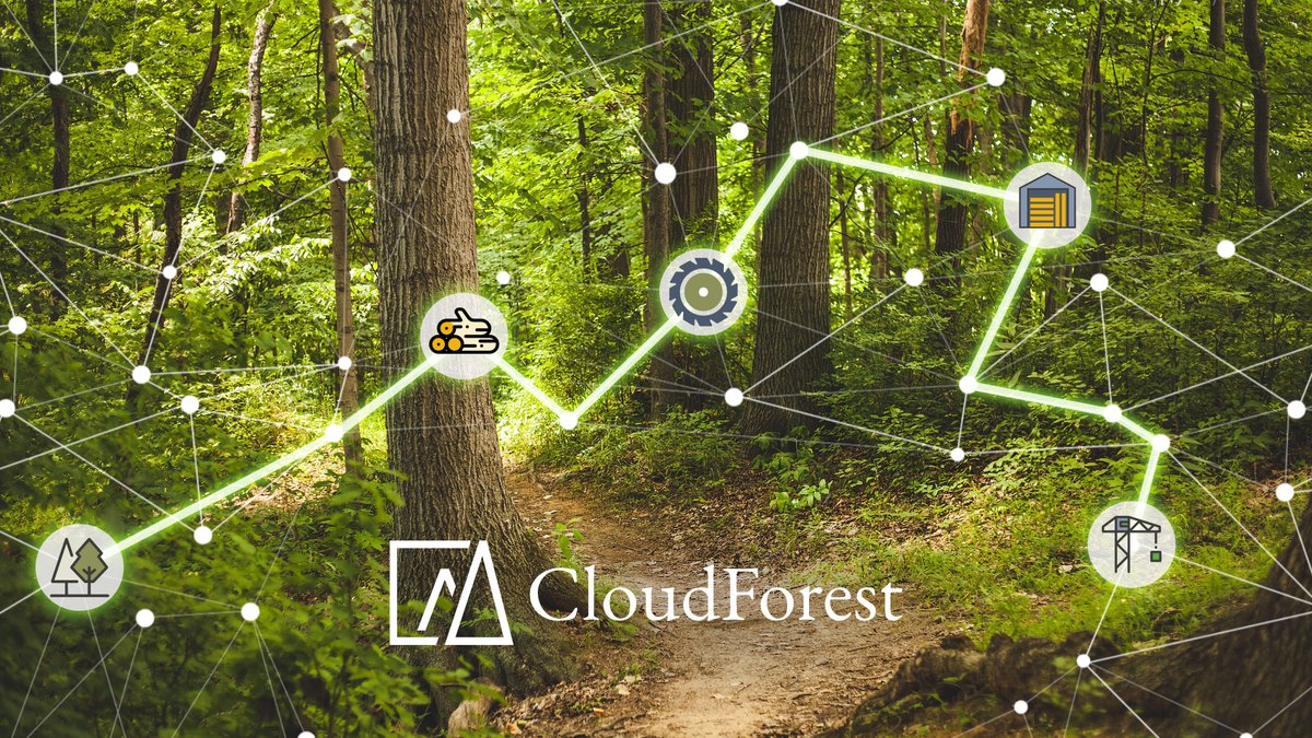 CloudForestHQ's tweet photo. We have a new exciting project to develop a collaborative platform to connect timber in English forests with construction demand. Working with @SylvaFoundation , @SnugHomesBuild, @TheKissHouse  Evolving Forests, @no_small_thing  
Funded by @ForestryComm  
https://t.co/jf2Cz4UqlU https://t.co/nhHfe3LB7l