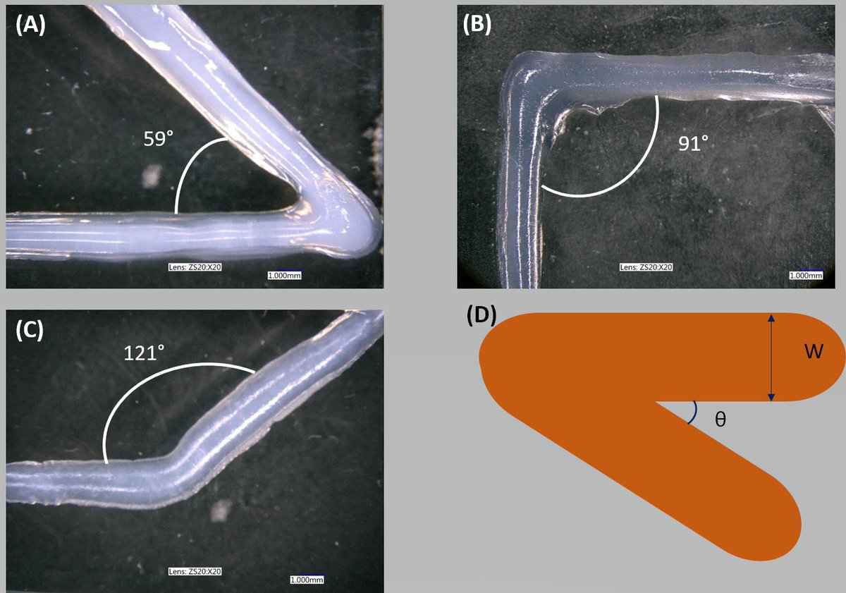 josbaema's tweet photo. A new labmethod on Printability of Double  Network 🧬 Alginate-Based Hydrogel for 3D Bio-Printed Complex Tubular Structures 🔬🧫🦾 by @IorioTeam using a  @REGEMAT3D BIOV1 💙

Find more  at: https://t.co/vrIpkBPmFg

https://t.co/dx7tIAW4KN

#bioprinting #biofabrication https://t.co/cAzAgsY8Tx