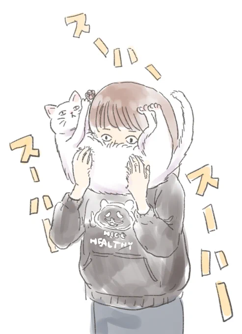猫吸いたい 